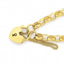 9ct-19cm-Belcher-Padlock-Bracelet Sale