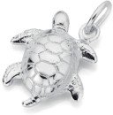 Turtle-Charm-Pendant-in-Sterling-Silver Sale