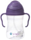 bbox-Sippy-Cup-V2-Grape-240ml Sale