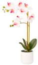 30-off-Double-Stem-Orchid-54cm Sale