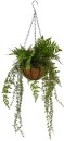 30-off-Hanging-Fern-in-Bowl Sale