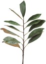 30-off-Magnolia-Leaf-Stem Sale