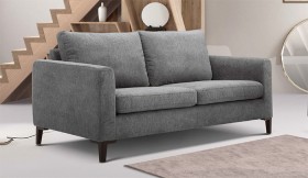 Ari-2-Seater-Sofa-Charcoal on sale