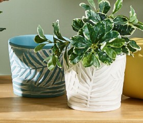 30-off-Ceramic-Planter-Pots-12-x-14cm on sale
