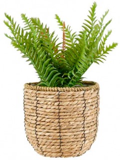 30-off-Fern-In-Rattan-Basket-355cm on sale