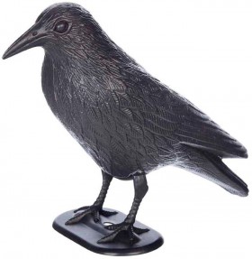 40-off-Spooky-Hollow-Crow-with-Stake on sale