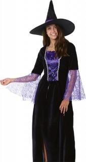 40-off-Spooky-Hollow-Adult-Witch-Costume on sale