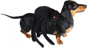 40-off-Spooky-Hollow-Spider-Pet-Costume on sale