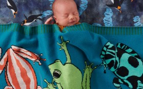 25-off-KipCo-Manchester-Sleeping-Bags on sale