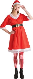 Jolly-Joy-Adult-Mrs-Claus-Suit on sale