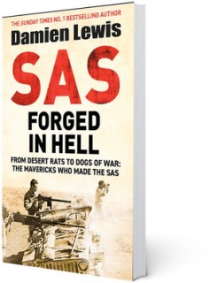 SAS-Forged-in-Hell on sale