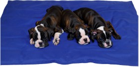 Pet-Cooling-Gel-Mat on sale