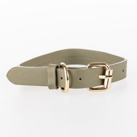bbb-Pets-Collar-Olive on sale