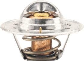 Tridon-Thermostats on sale