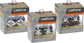 Calibre-Plus-150-Headlight-Globes on sale