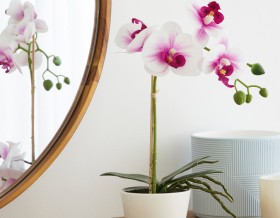 Emerald-Hill-Artificial-Orchids-30cm on sale