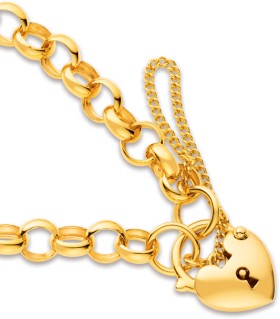 9ct-19cm-Belcher-Padlock-Bracelet on sale