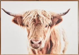 30-off-Cooper-Co-Highland-Cow on sale