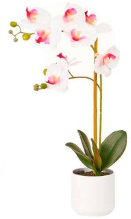 30-off-Double-Stem-Orchid-54cm on sale