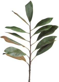 30-off-Magnolia-Leaf-Stem on sale