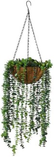 30-off-Hanging-Eucalyptus-Bowl on sale