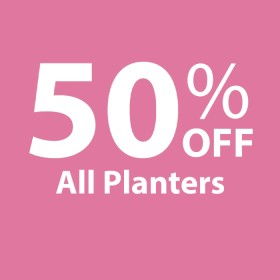 50-off-All-Planters on sale