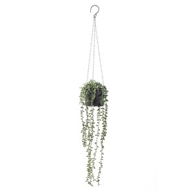 Hanging-Plant on sale