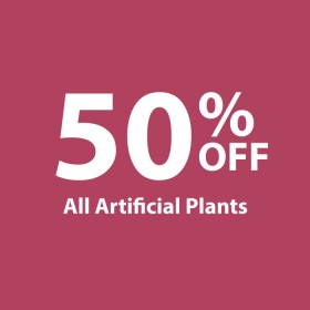 50-off-All-Artificial-Plants on sale