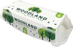 Woodland-Free-Range-Size-6-Eggs-10-Pack on sale