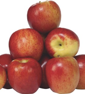 Loose-Jazz-Apples on sale